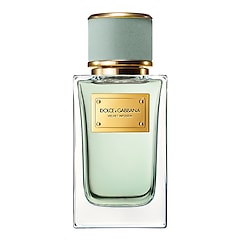 Velvet Infusion -  Eau De Parfum, DOLCE & GABBANA